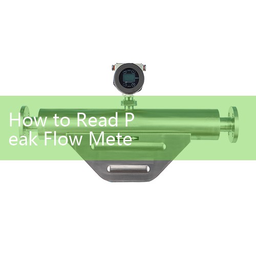 How to Read Peak Flow Meter Chart: Daily Log Templates and Symptoms Variance Analysis